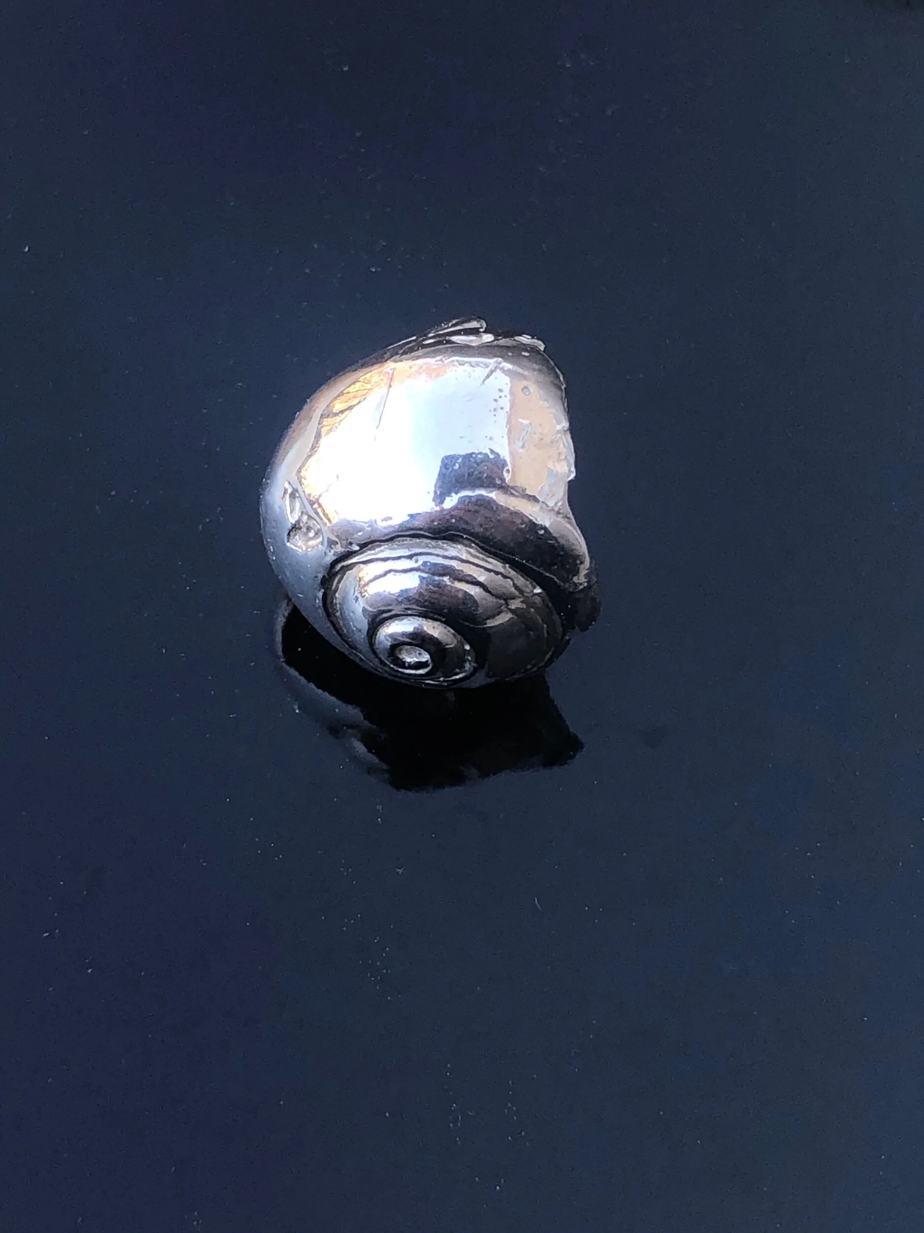 1FAD9E25-55D5-4B0F-9DE9-B84E59A26385