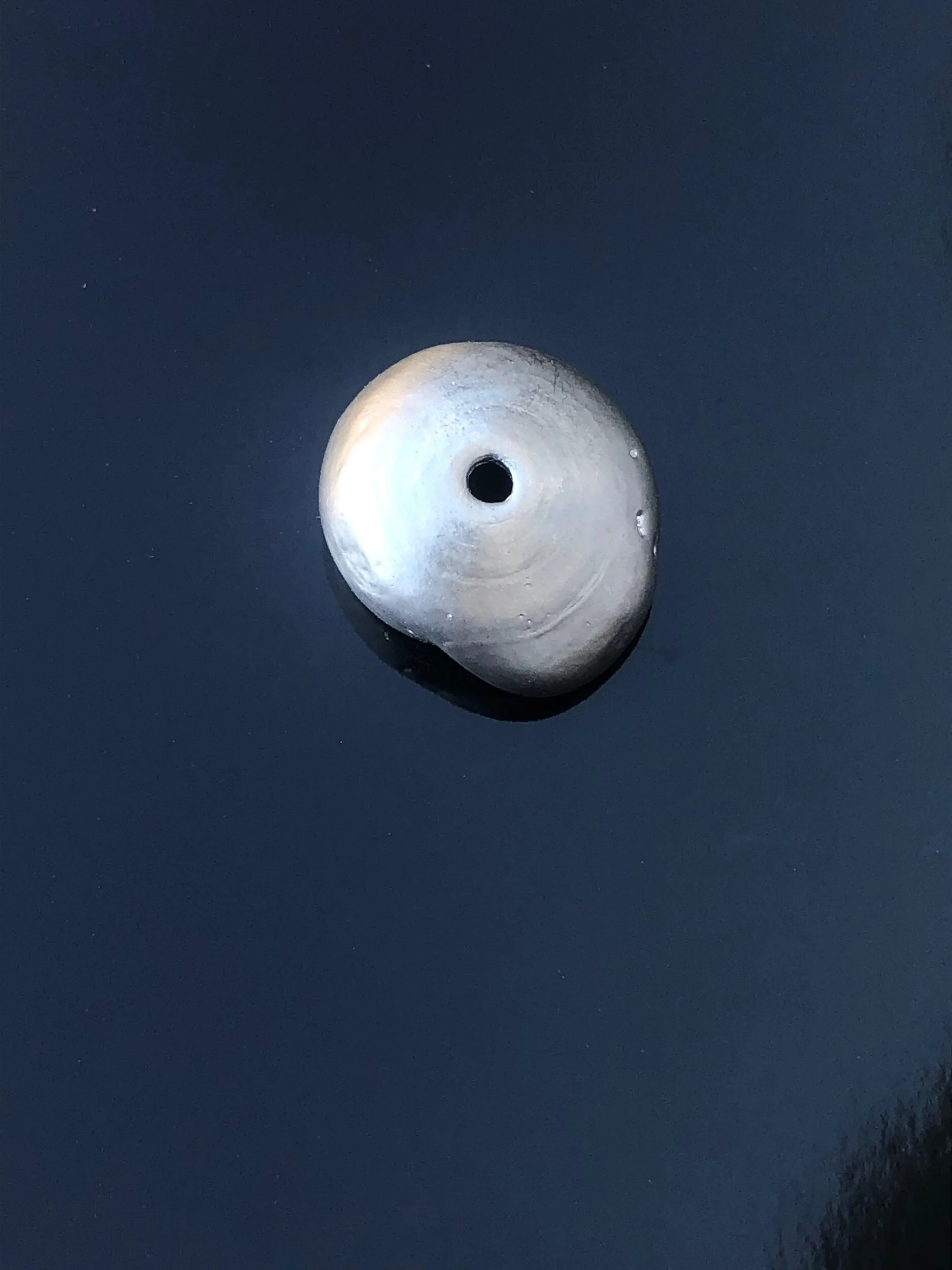 4D313EEE-D3F6-45BF-ACBF-67F150611C25