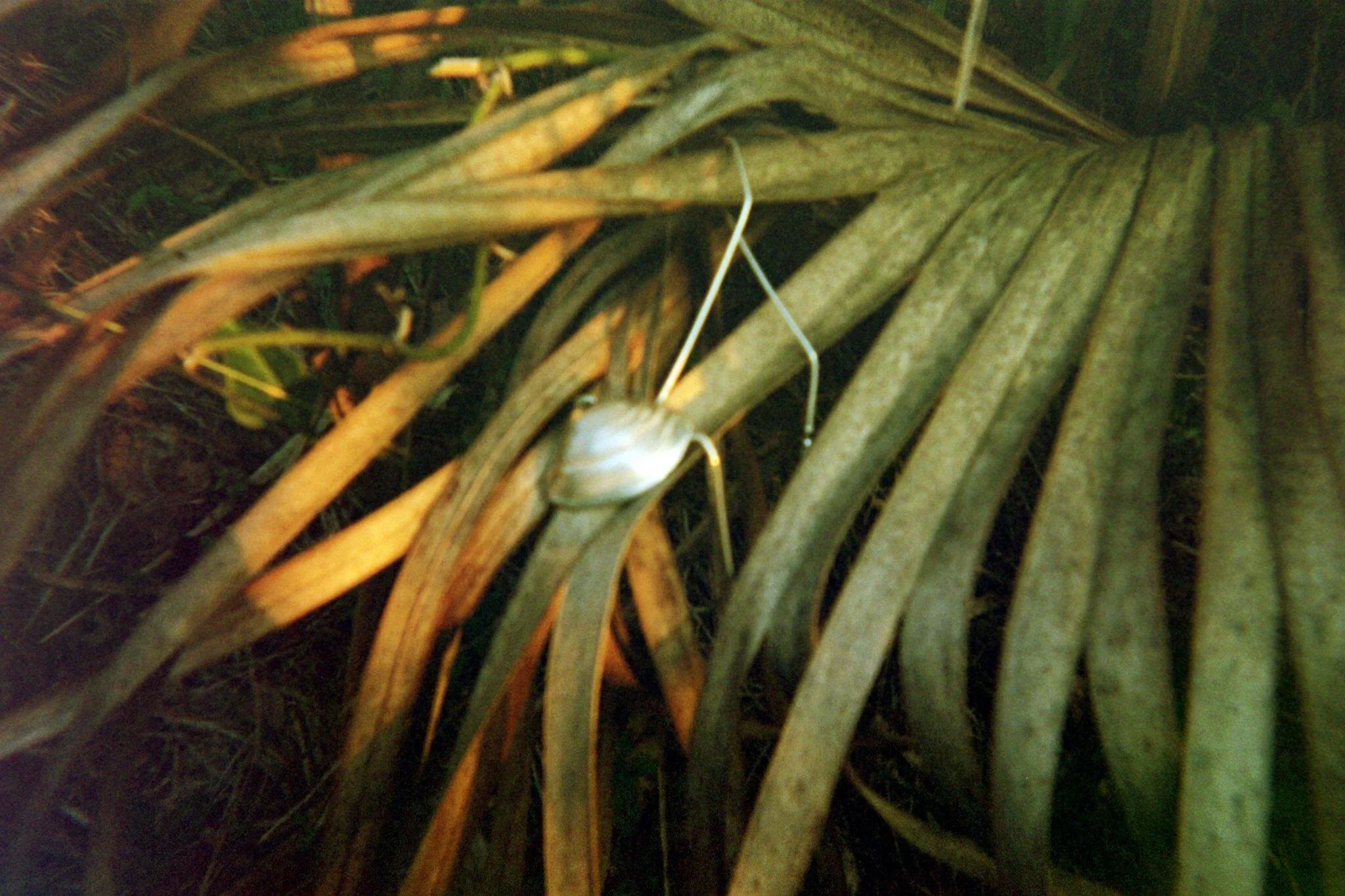 FH000025.JPG