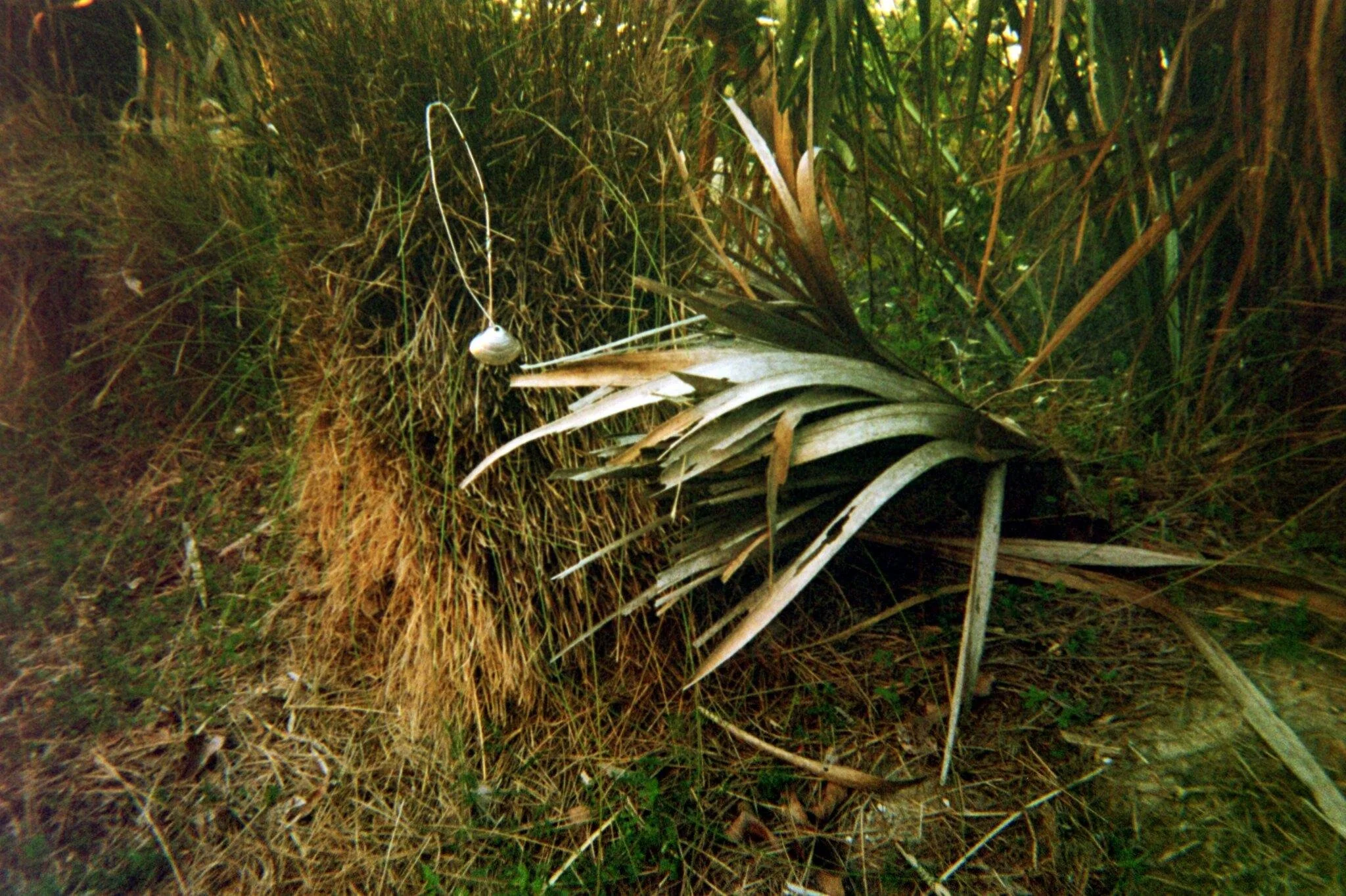 FH000027.JPG