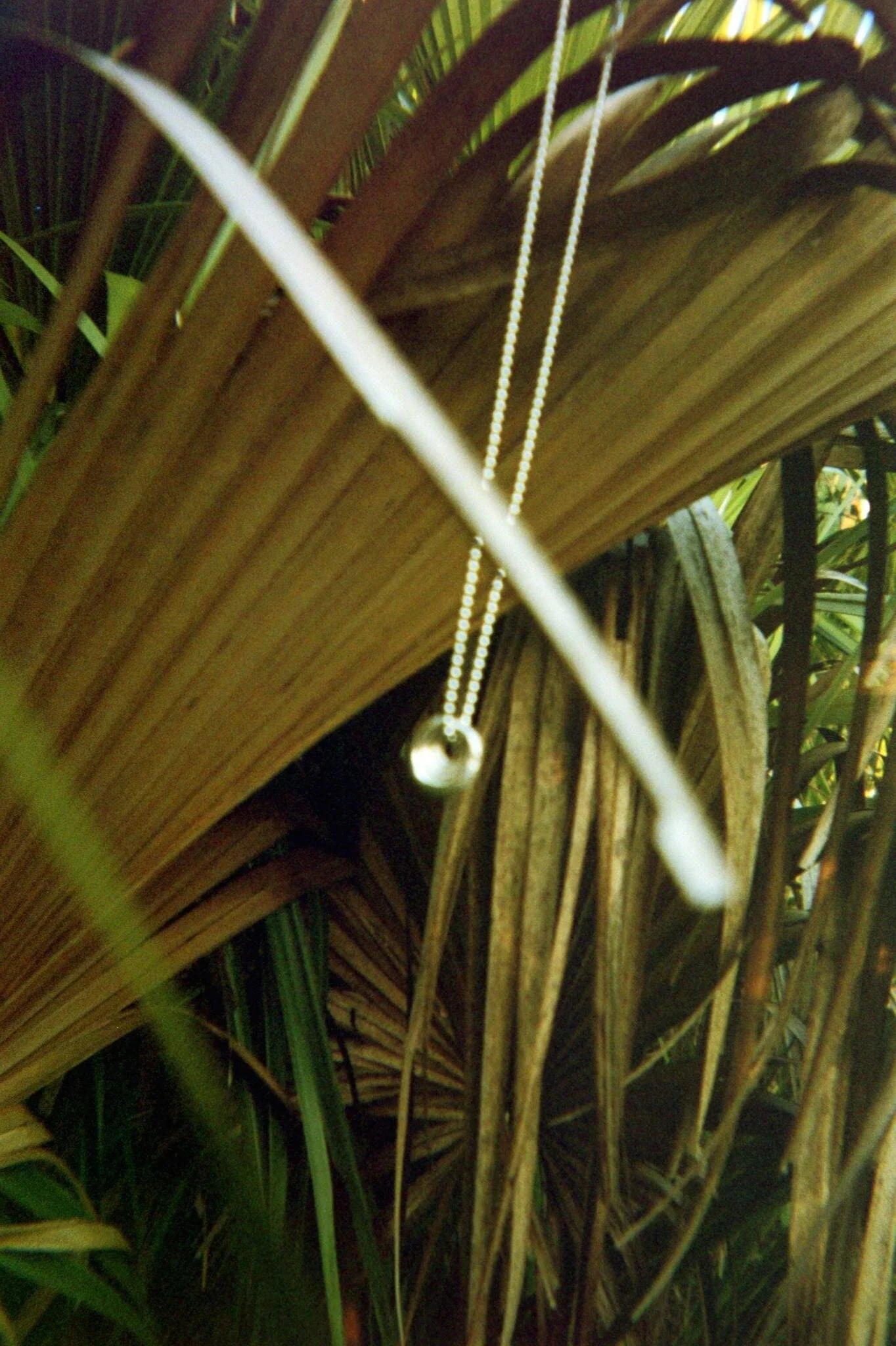 FH000011.JPG