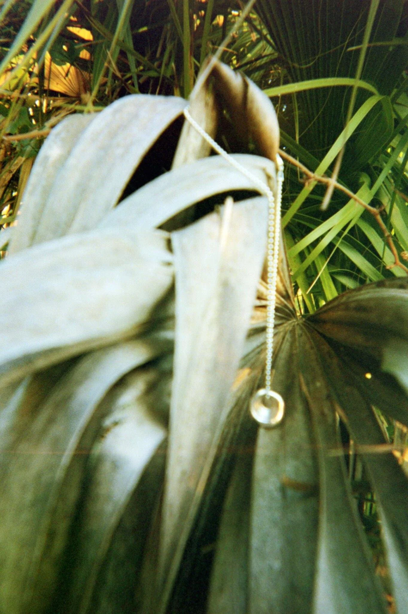 FH000009.JPG