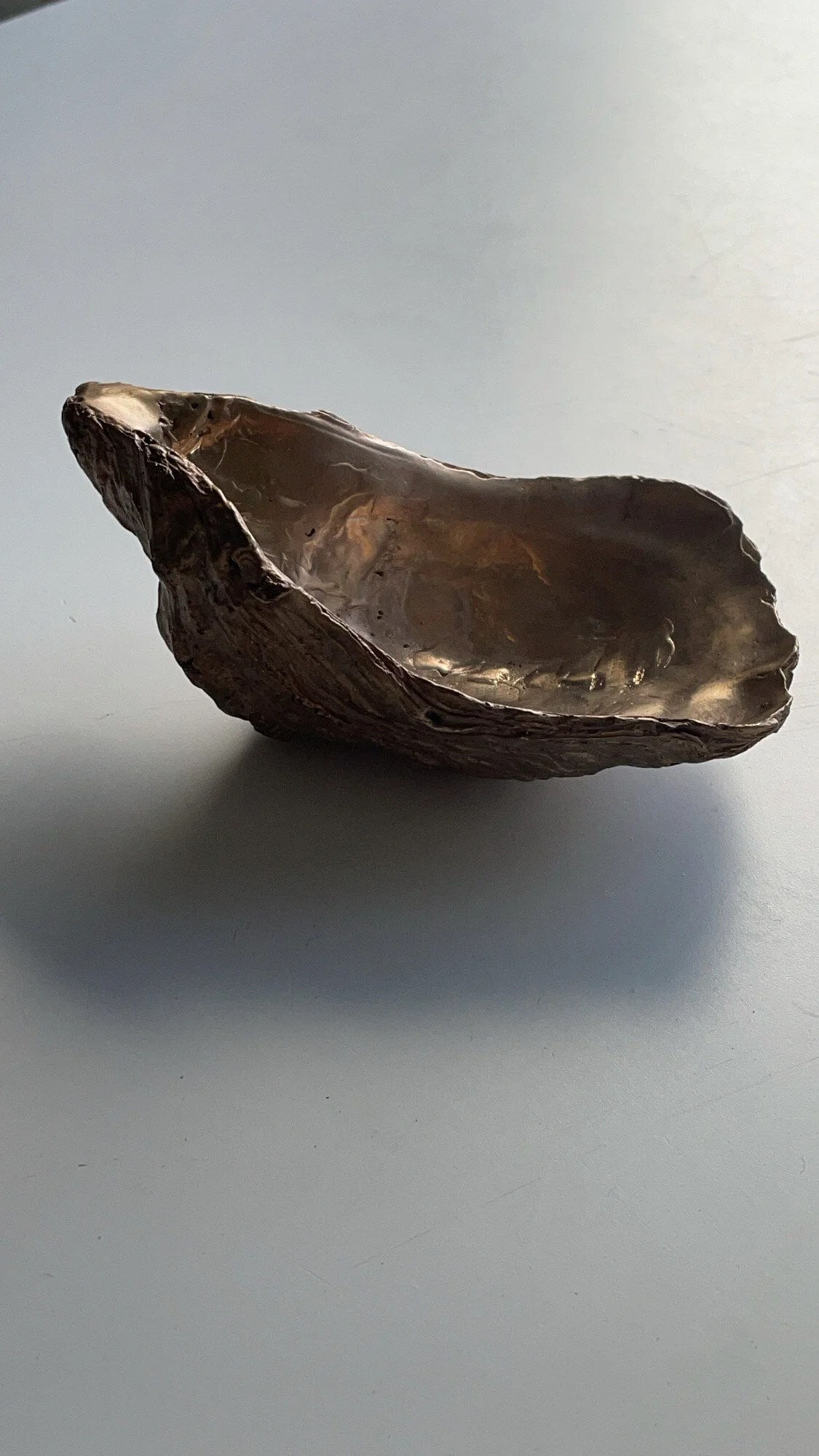 3E59E37F-A6EF-4B2E-A457-DB5DCB1BC263