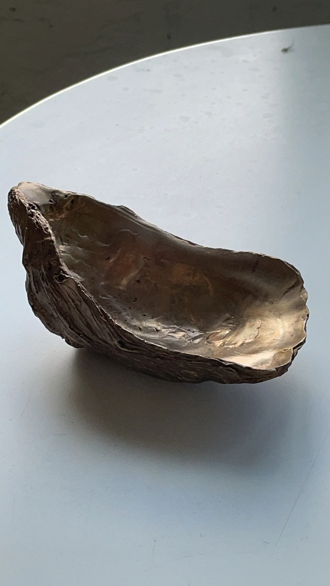 E257BE8C-E72B-4D29-9E26-04042C8CBF31