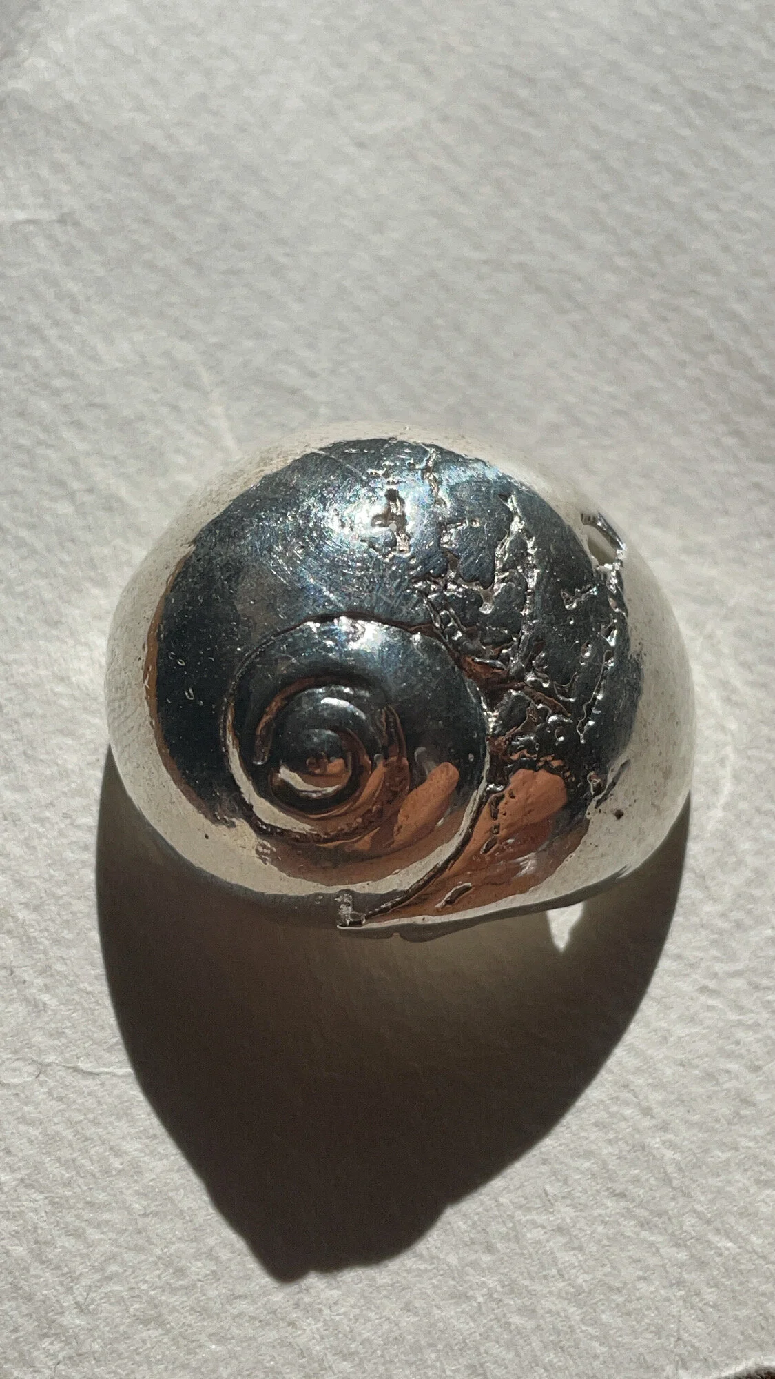 C5D8BCF7-2340-4608-9AB7-1CB7DAE6DF08