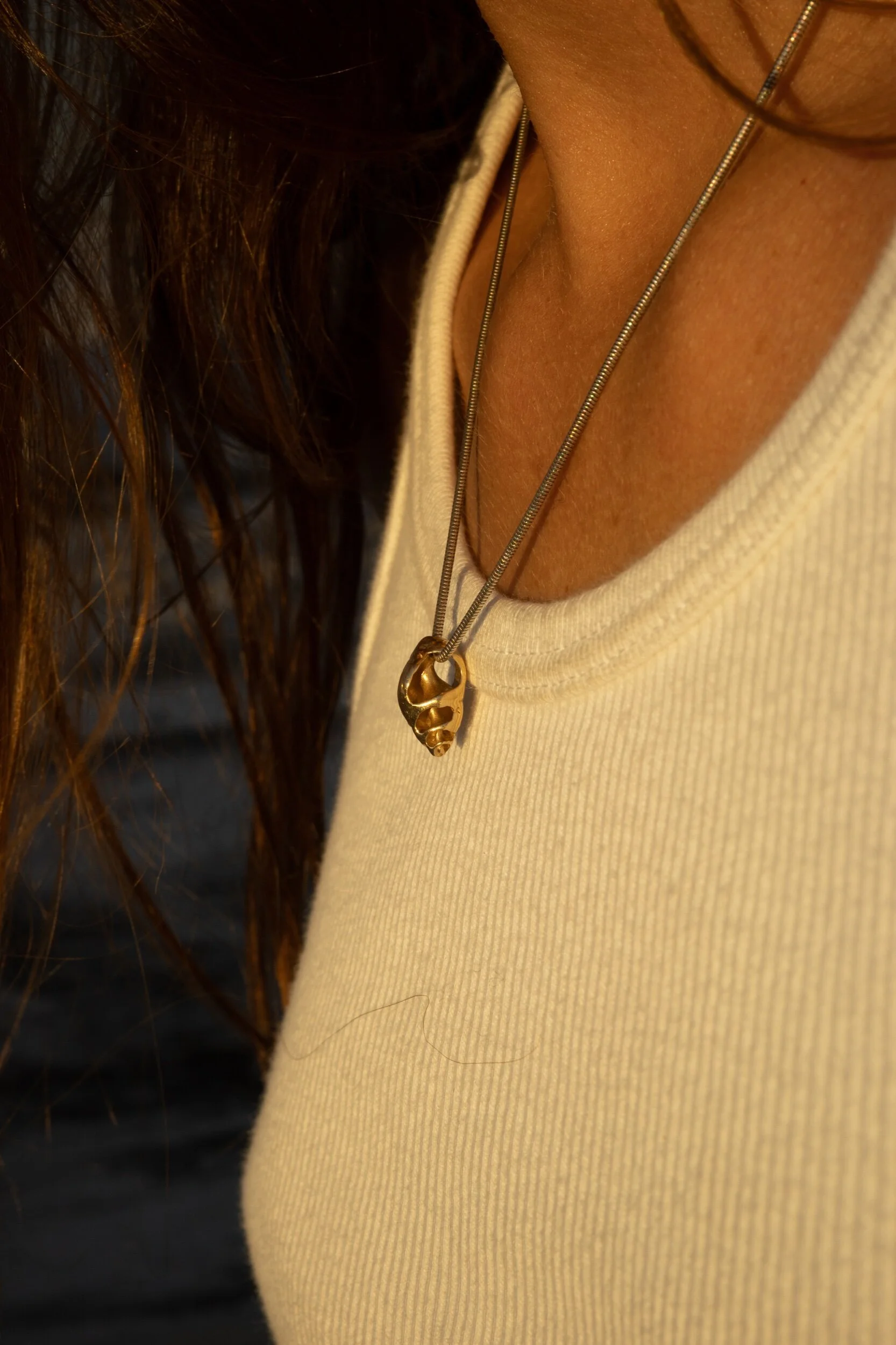 972C797D-1581-4DE3-9FA2-BEC04B03D6B0