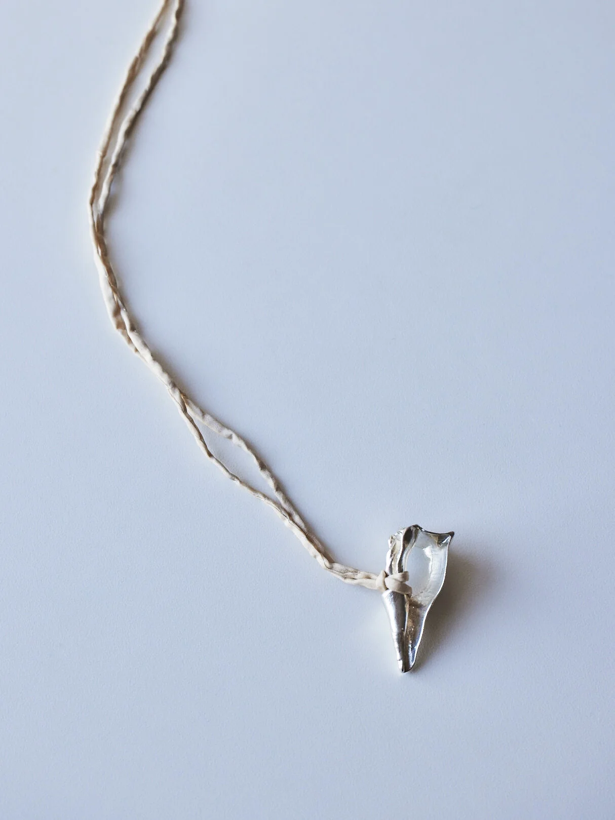 B25BB0F8-9829-441C-B23C-650D28B16572