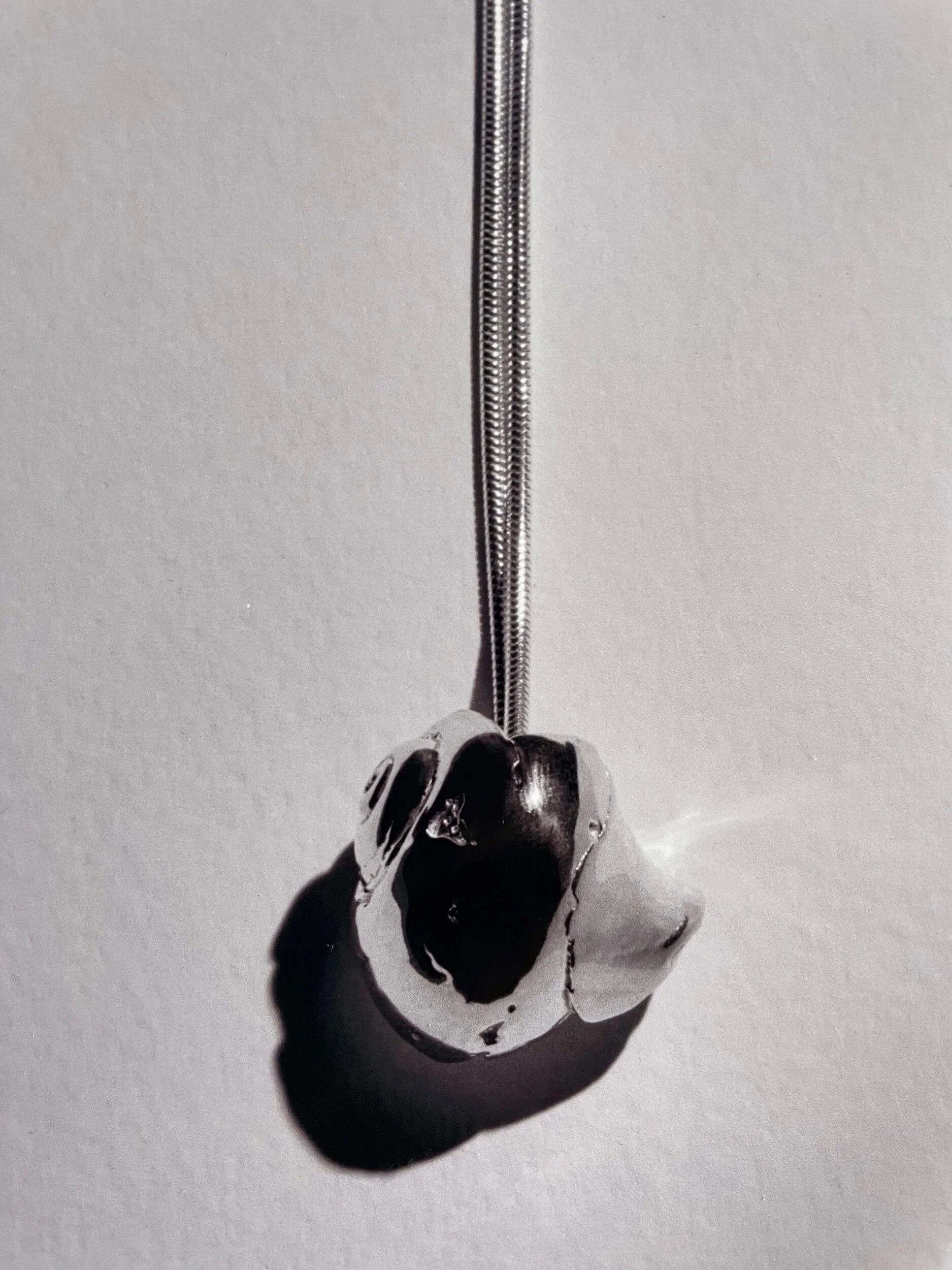 5EE8444D-F74D-4C06-8805-17B2FA255218