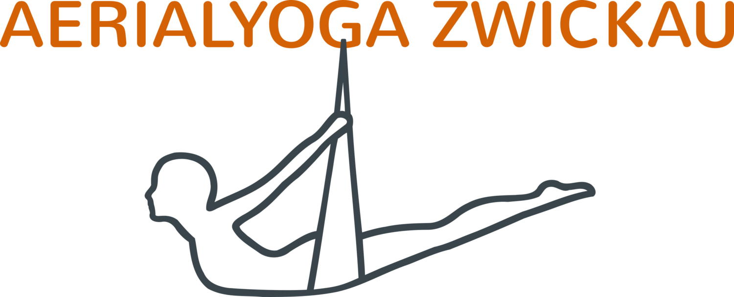 AERIALYOGA-ZWICKAU