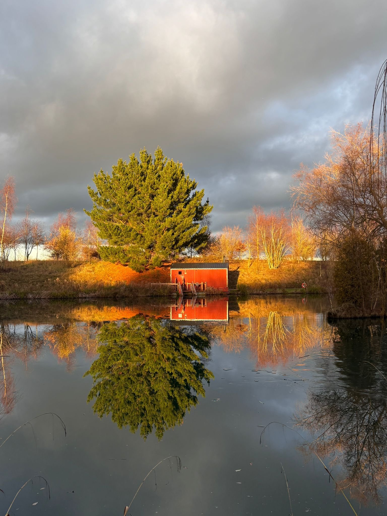 WhatsApp Image 2026-01-13 at 15.18.24.jpeg