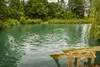 pool-bridge-farm