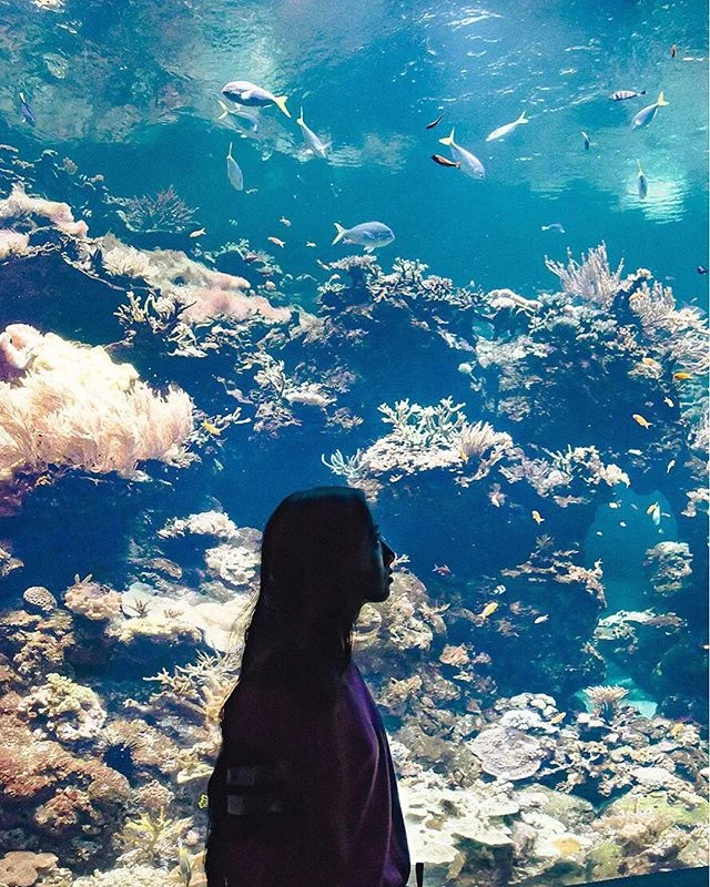 deep blue 🌀