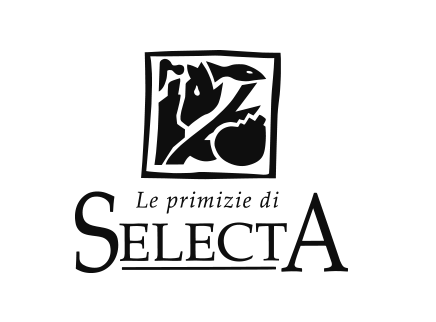 selecta-logo.png