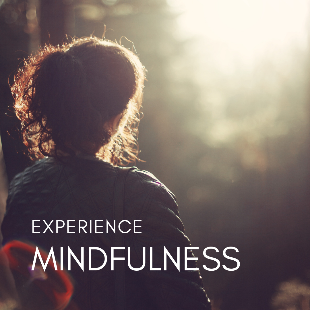 A Mindfulness-Based Stress Reduction Workshop