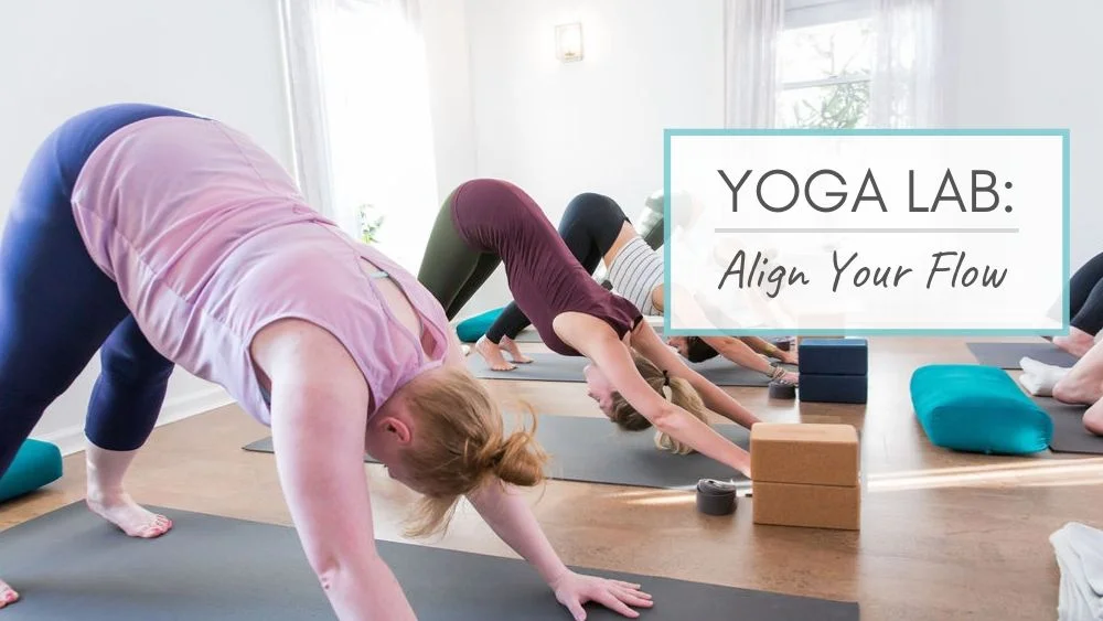 align-your-sun-salutation.jpg