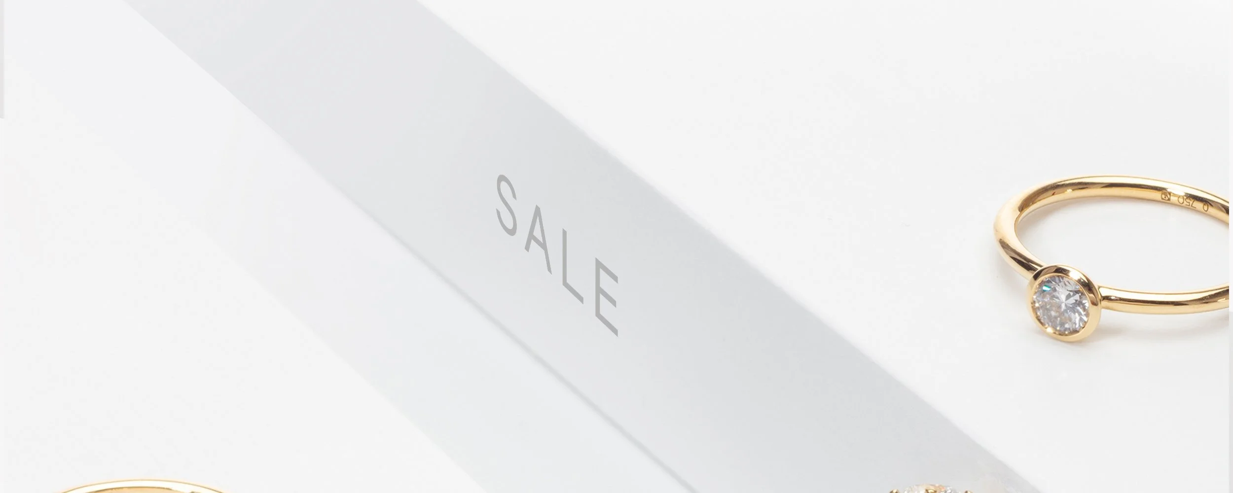 Collection Page Banner Template copy.jpg