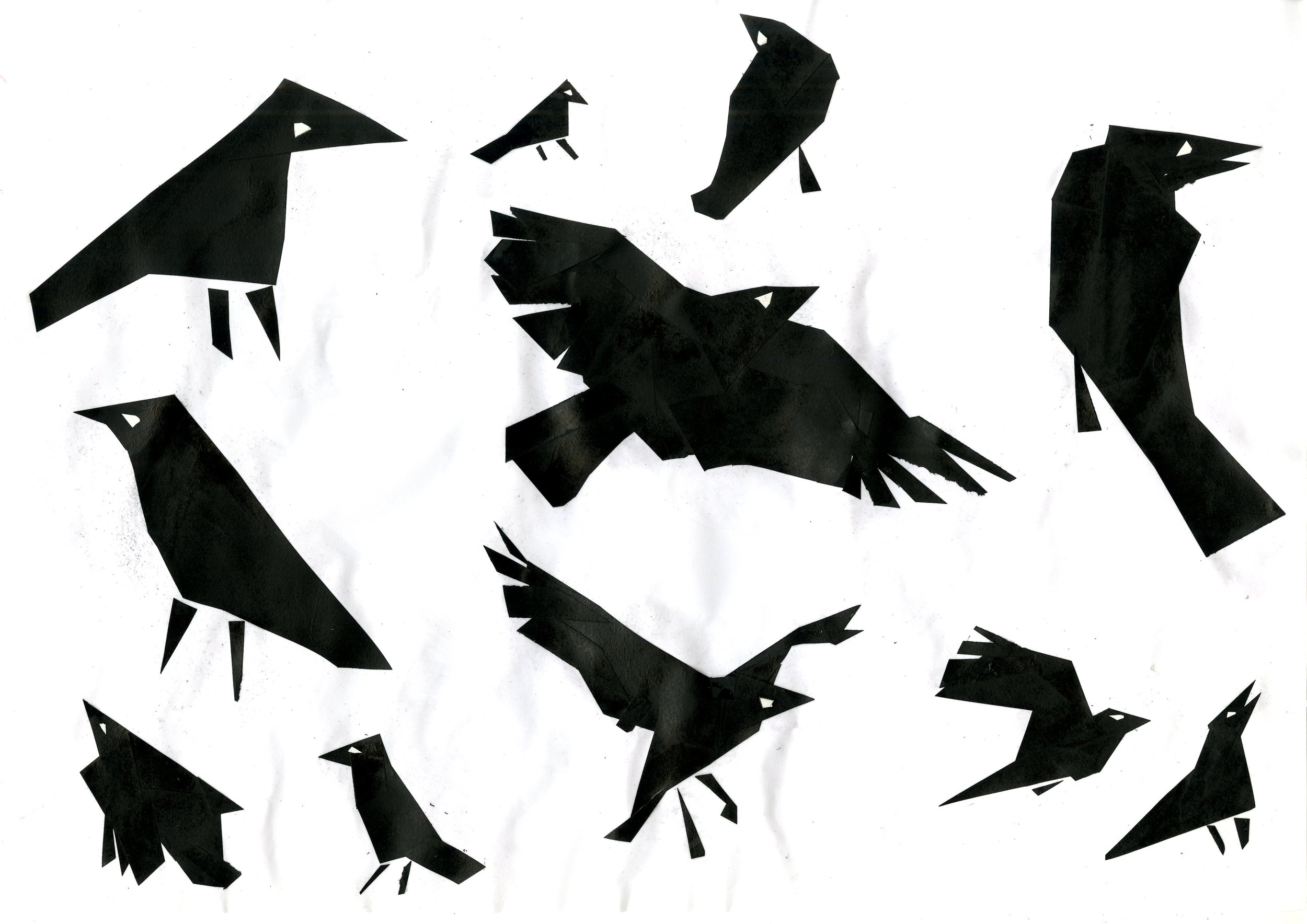 ravencollage001.jpg