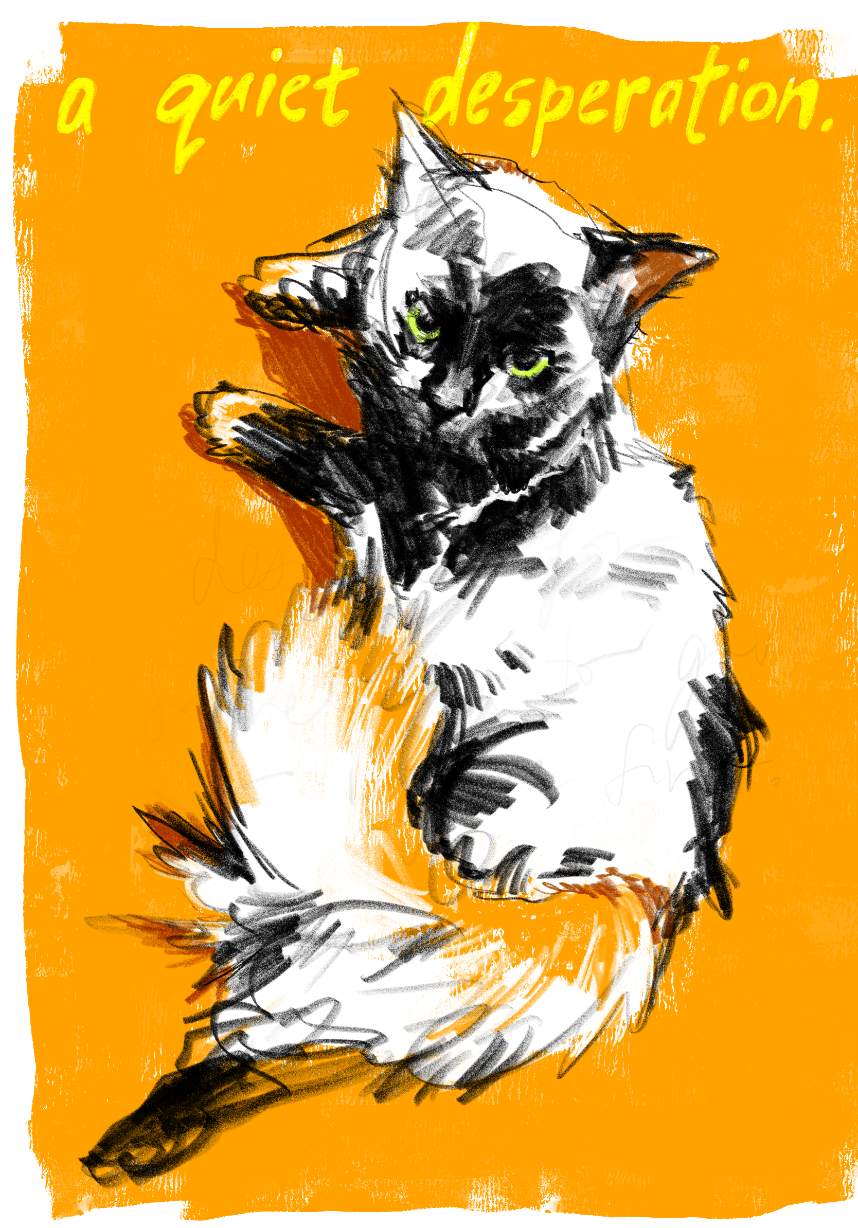 cat quiet desperation 2024-04-24 20_38_25.png