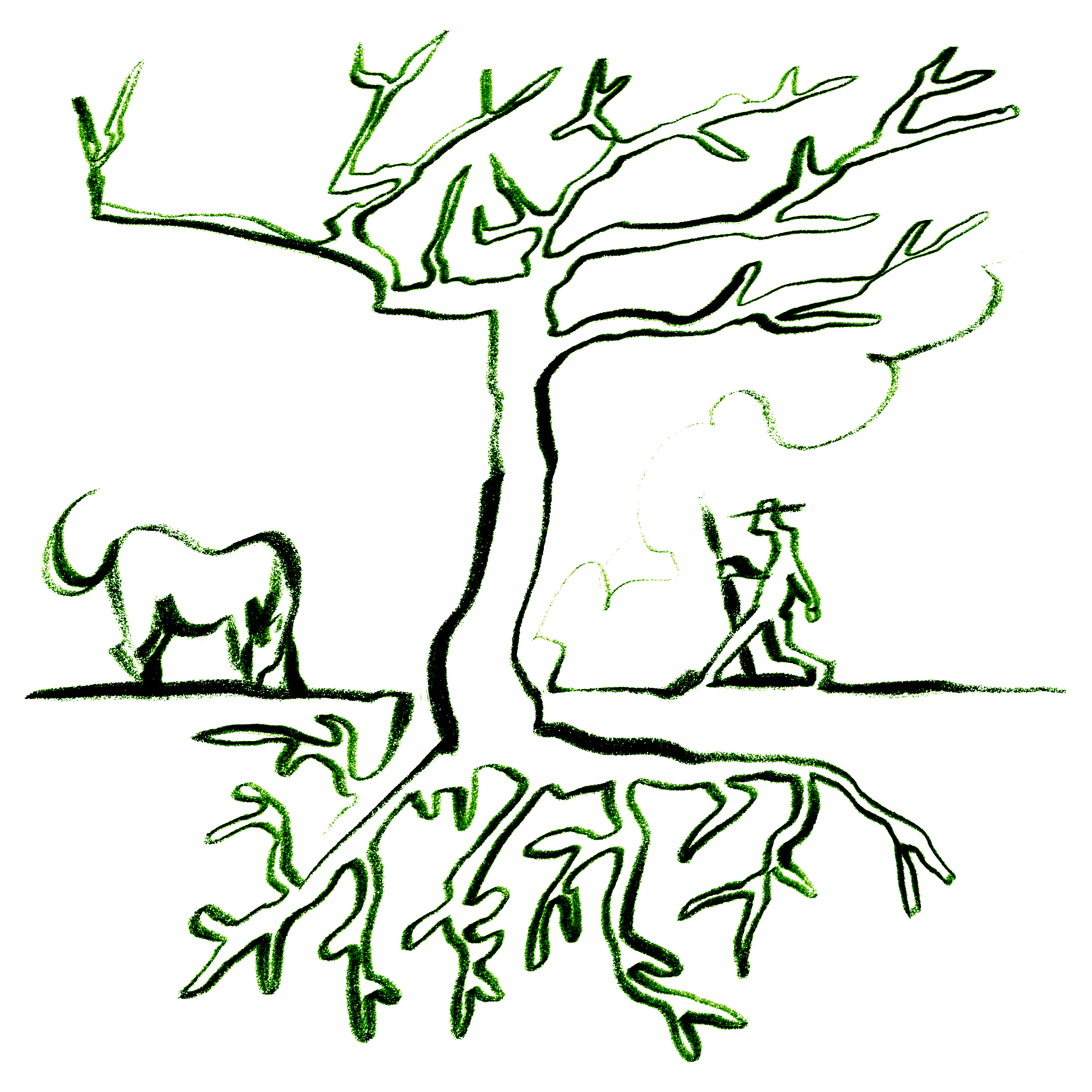 IMG_3335 2024-04-24 16_01_55.PNG