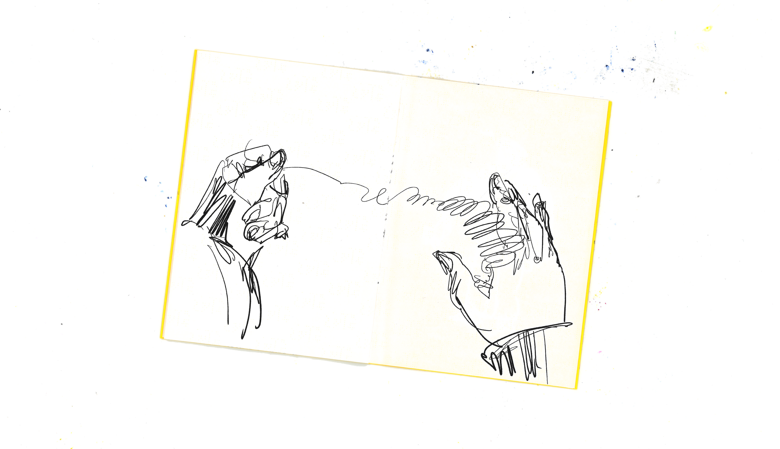 hangnail pg8 scan.png