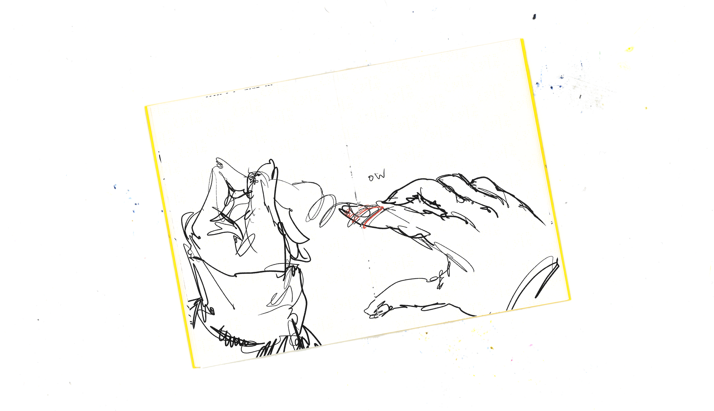 hangnail pg6 scan.png