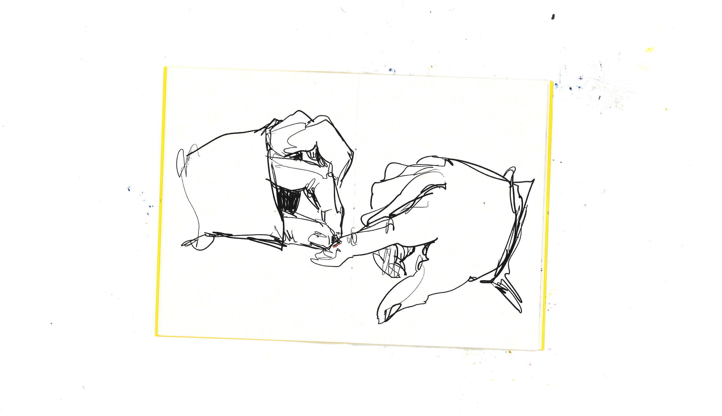 hangnail pg3 scan.png