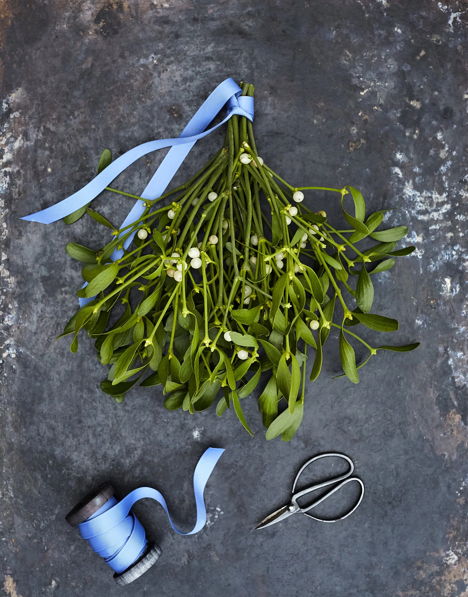 Bente Mistelten 01.jpg