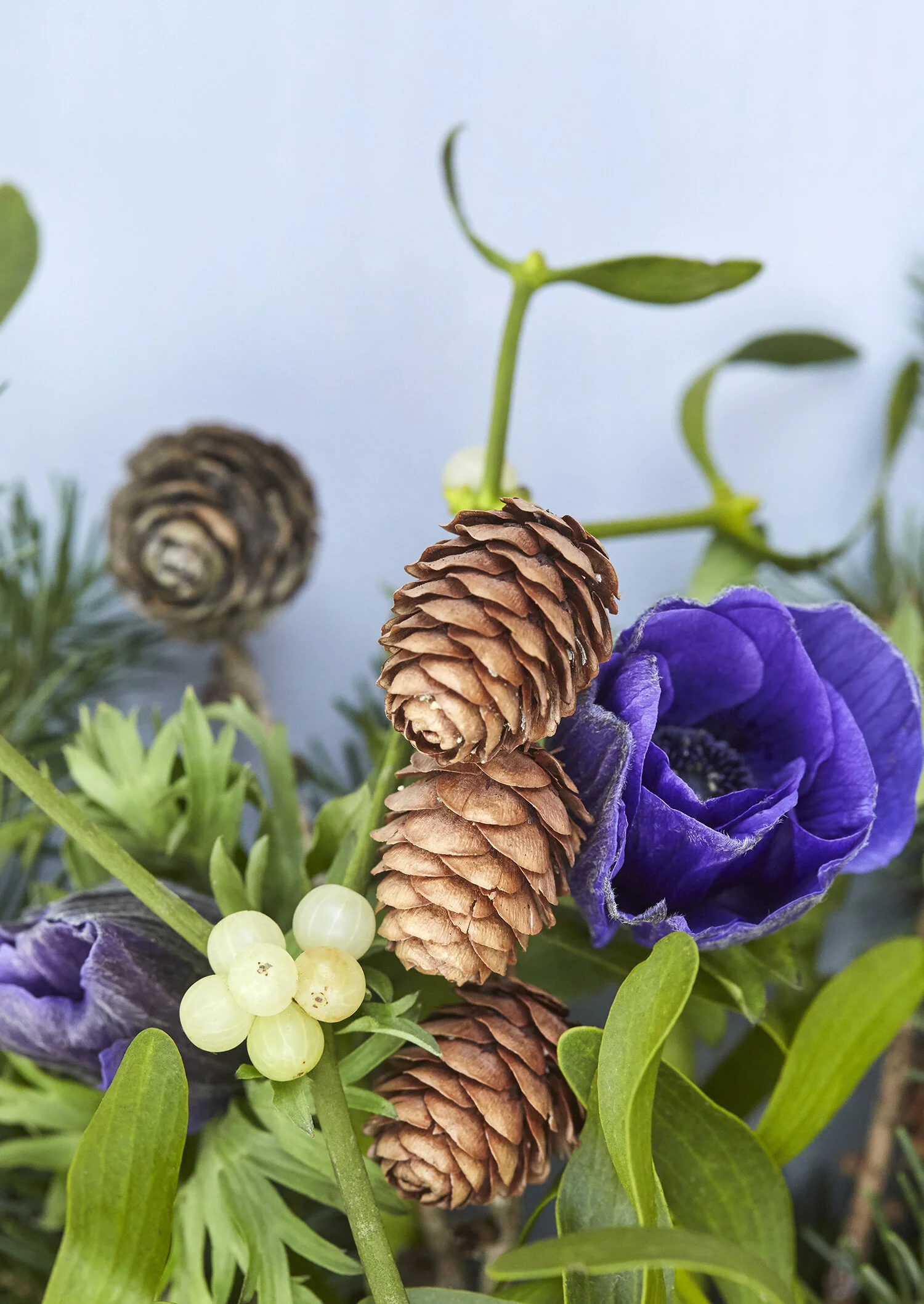 Bente Mistelten 04.jpg