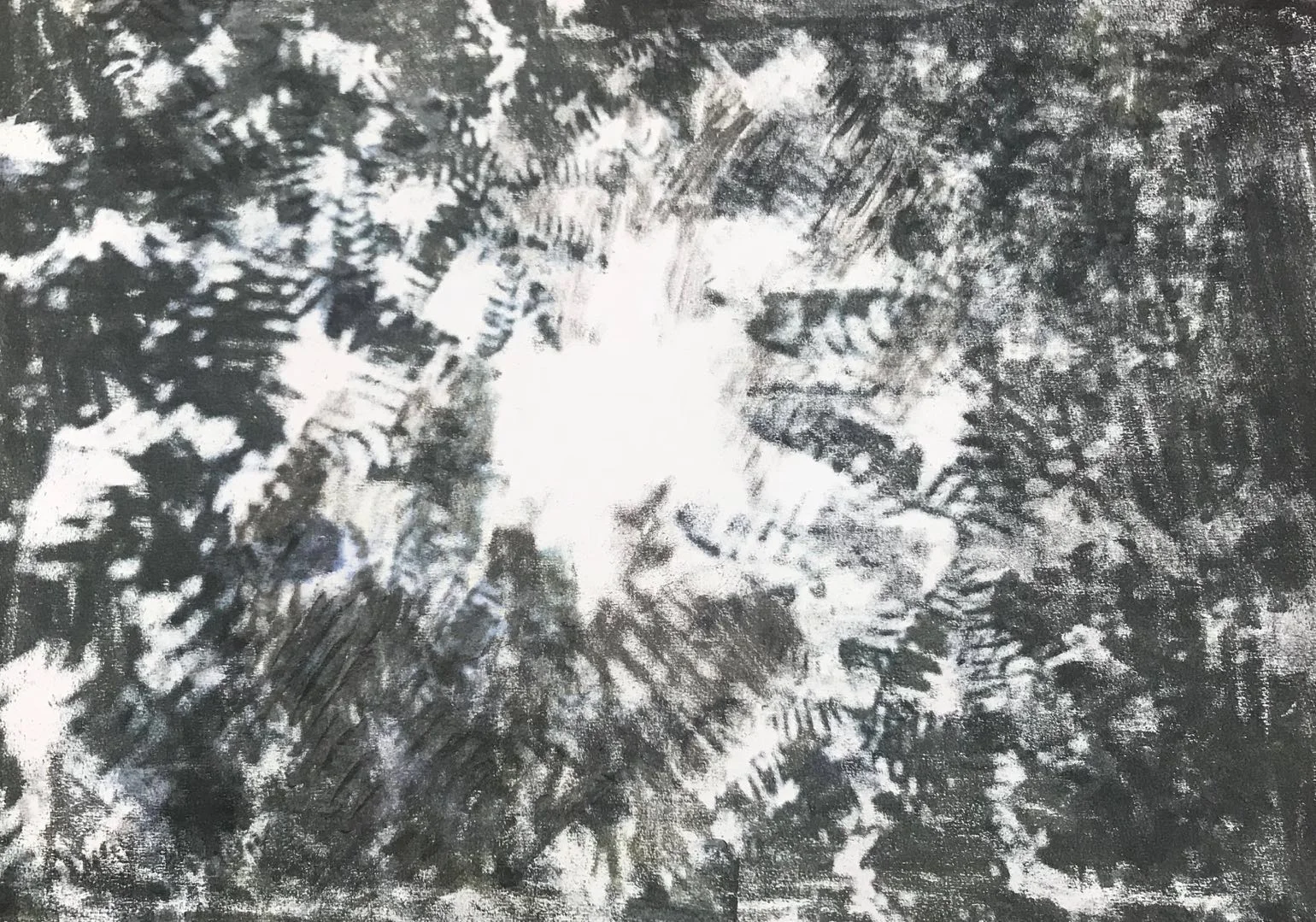 Flora Cast # 1. Monoprint on Paper. 40x50cm. 2018.