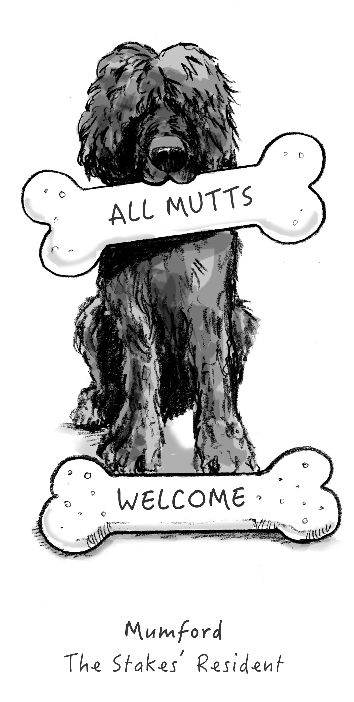 Mumford. 1.jpg