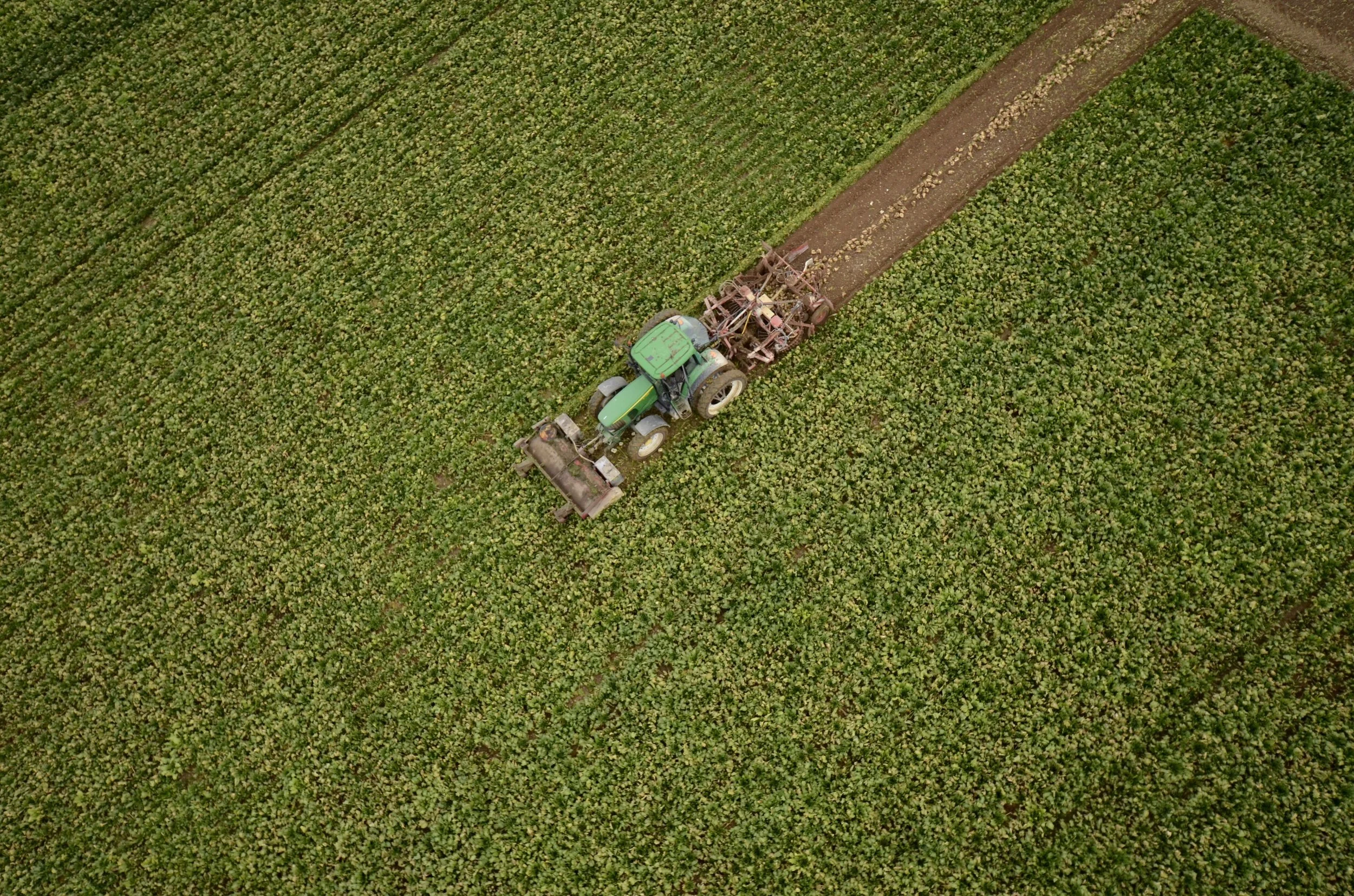 Merchandise Salesperson – Northern NSW - FILLED BY US!