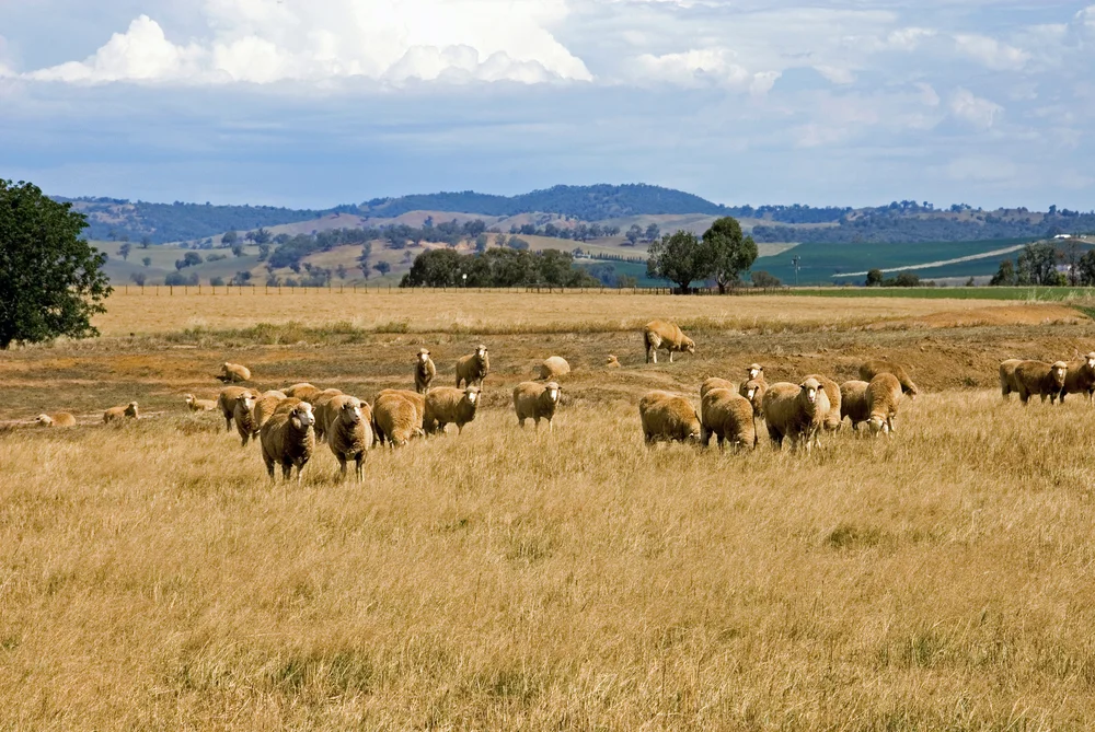 Soil Health Specialist – Central QLD Coast - FILLED BY US!