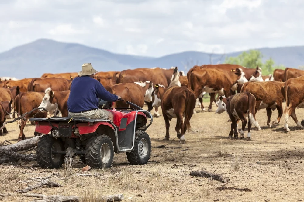 Is Regional Australia facing a workforce shortage?