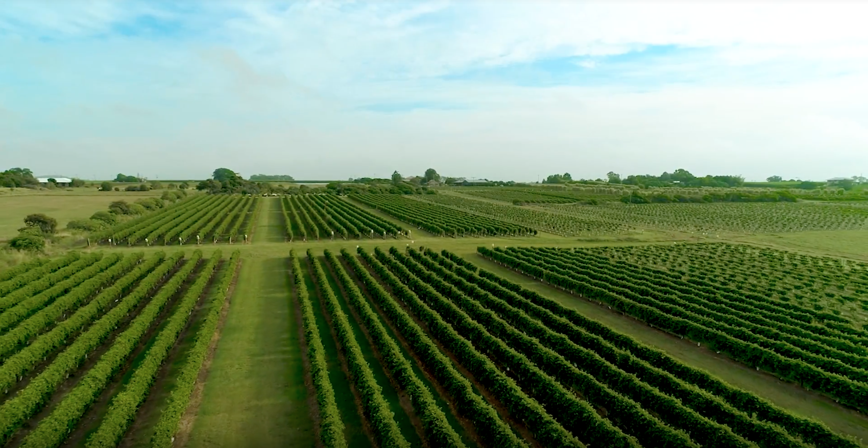Regional focus: Bundaberg
