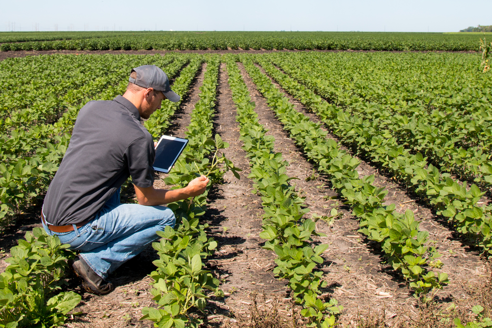 Trainee Territory Manager – Melbourne - FILLED BY US!
