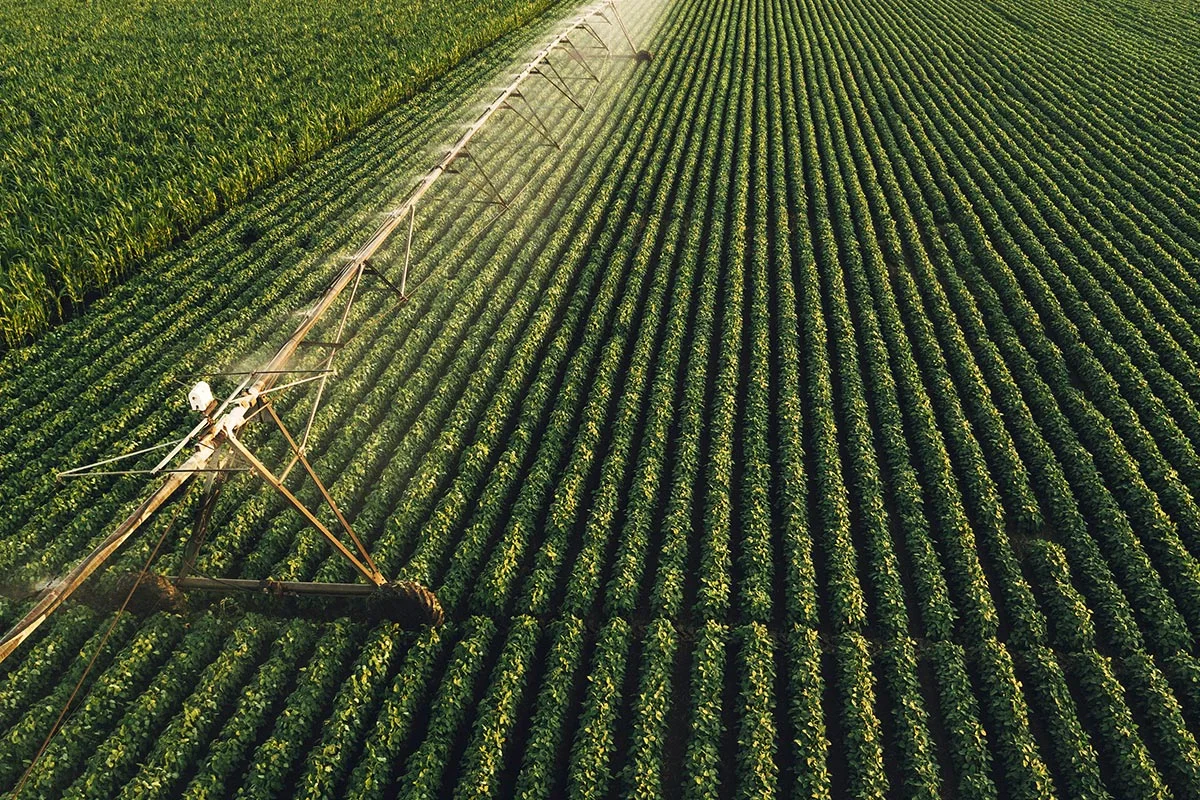Specialist Field Agronomist – NSW - FILLED BY US!