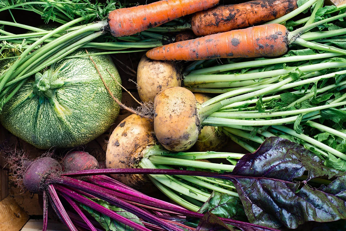 Farm Production Manager - FILLED BY US!