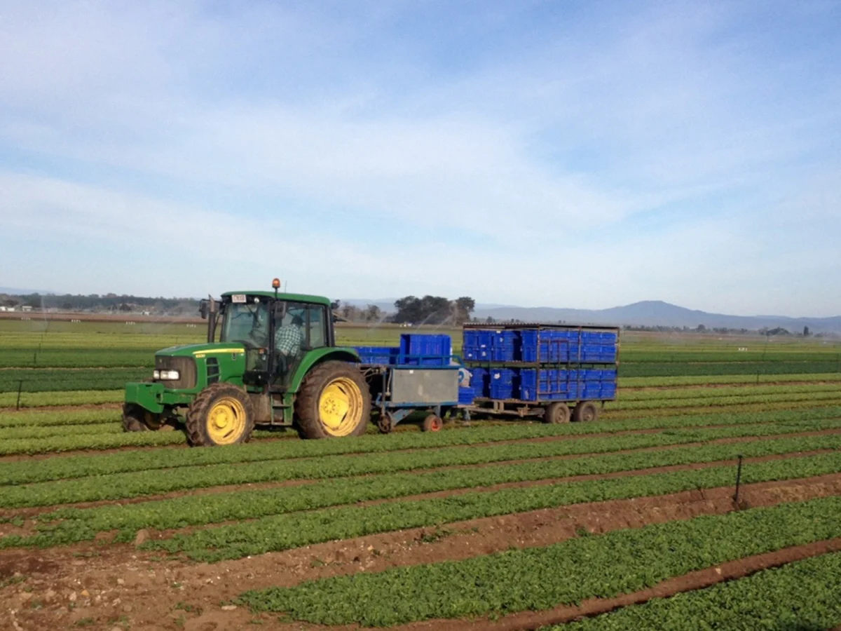 Farm Manager - Gippsland - VIC - FILLED BY US!