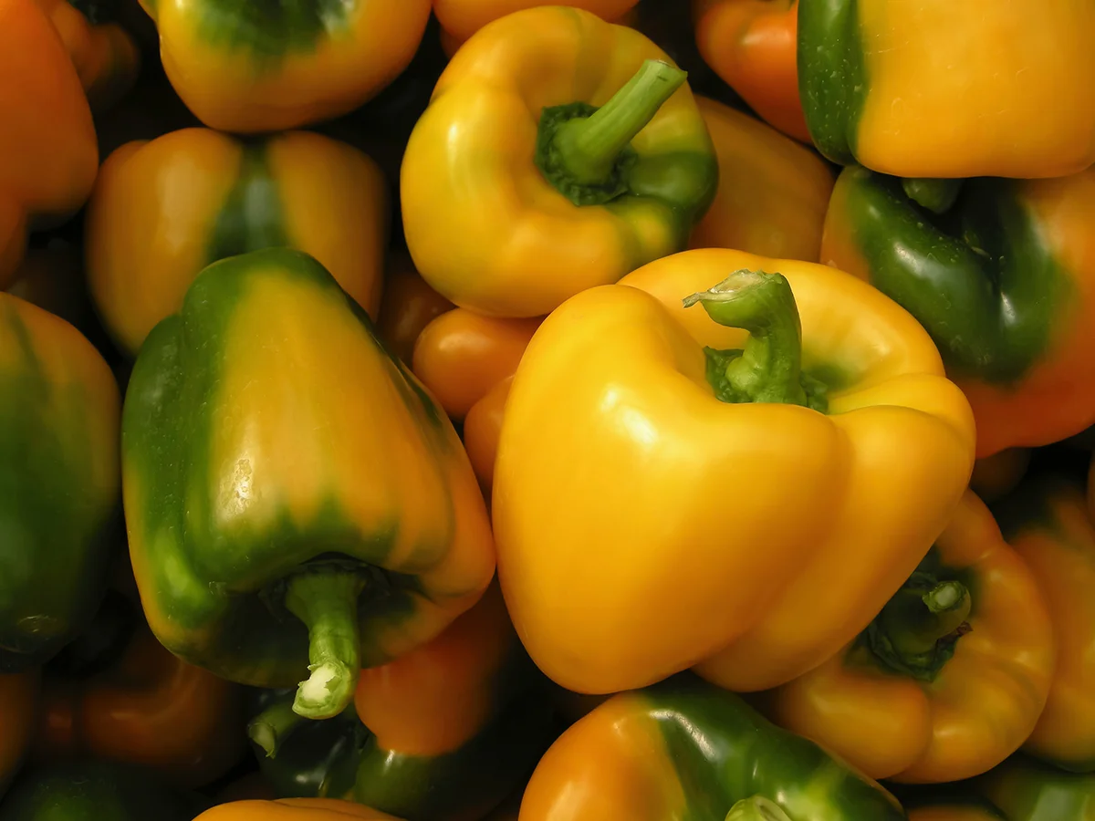 Territory Sales Manager - Crop Nutrition - Bundaberg - FILLED BY US!