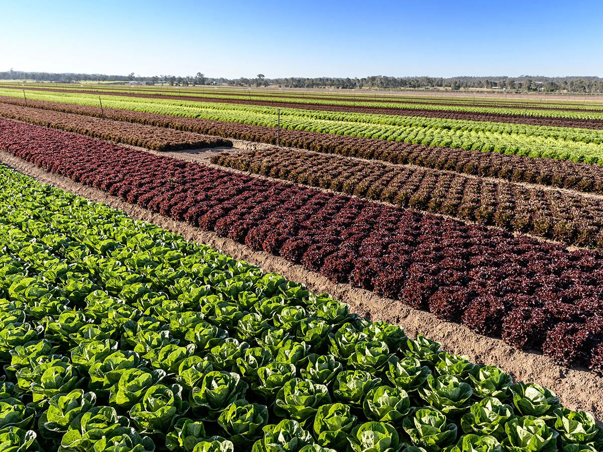 Farm Operations Manager - Row Crops - Eastern Victoria