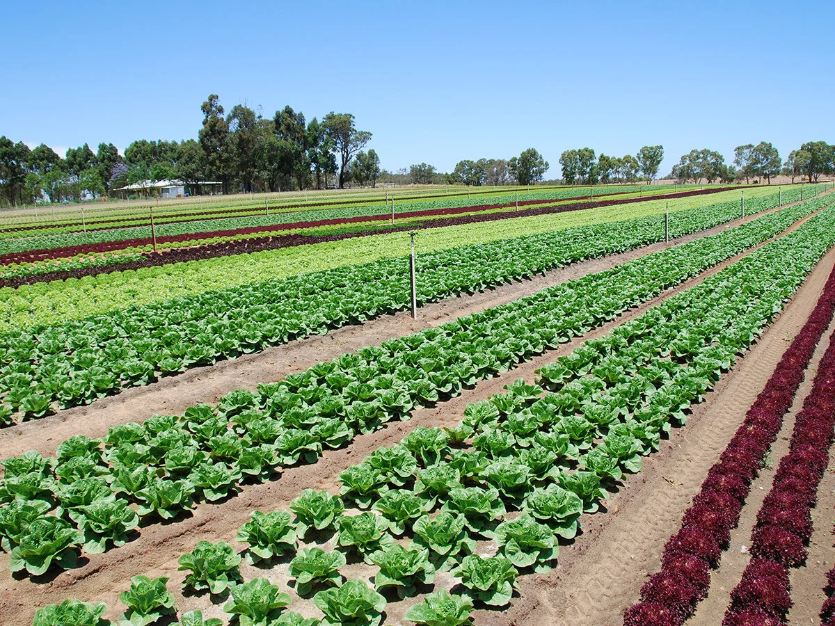 National Sales Manager - Crop Nutrition - Flexible Location