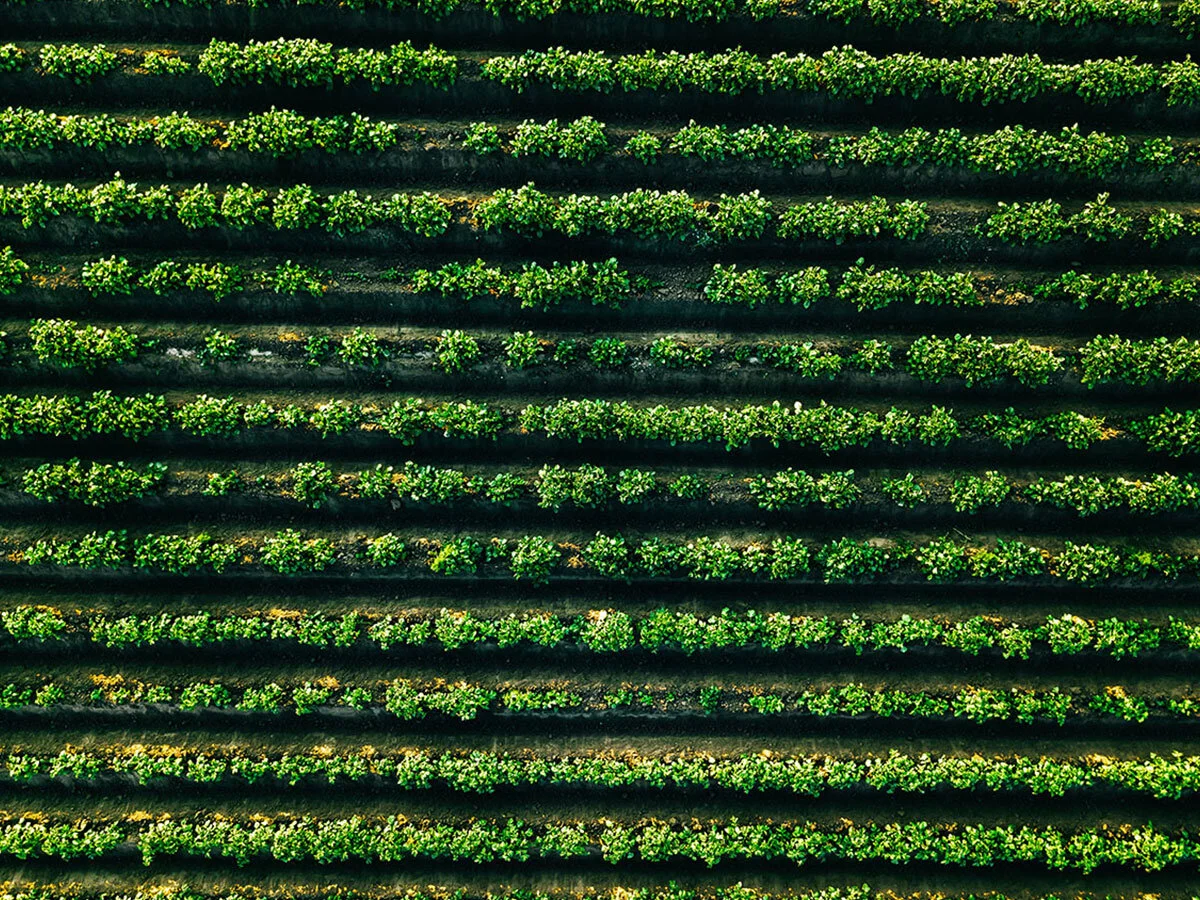 Precision Agriculture - Remote Support &amp; Sales Agronomist - Part Time - FILLED BY US!