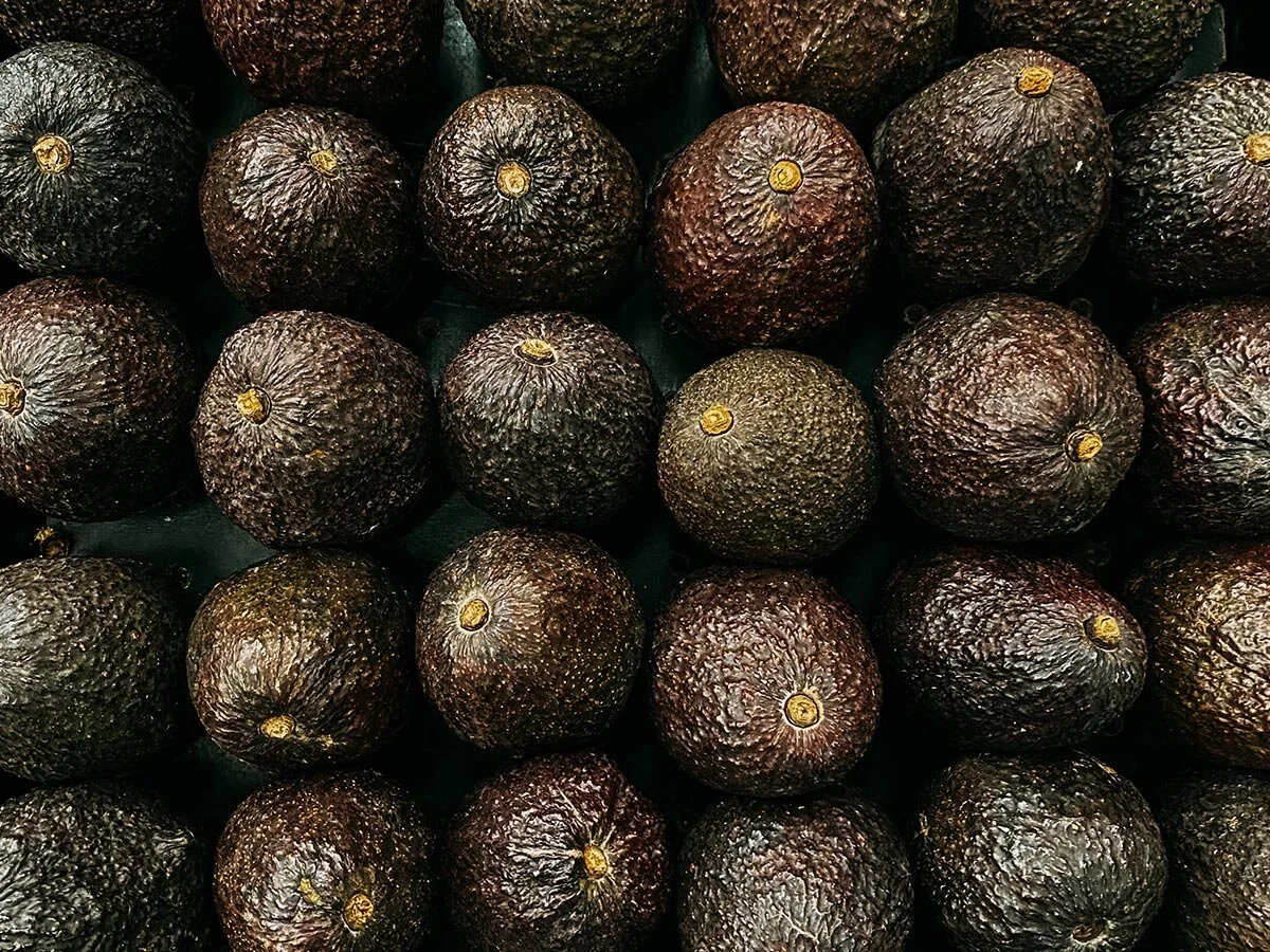 Farm Production Agronomist - Tree Crops - Bundaberg