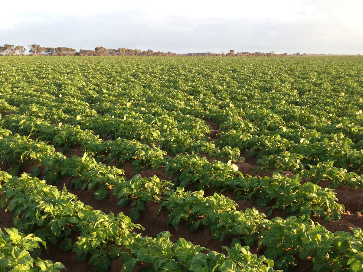 Regional Sales Manager - Crop Inputs - Southern Australia