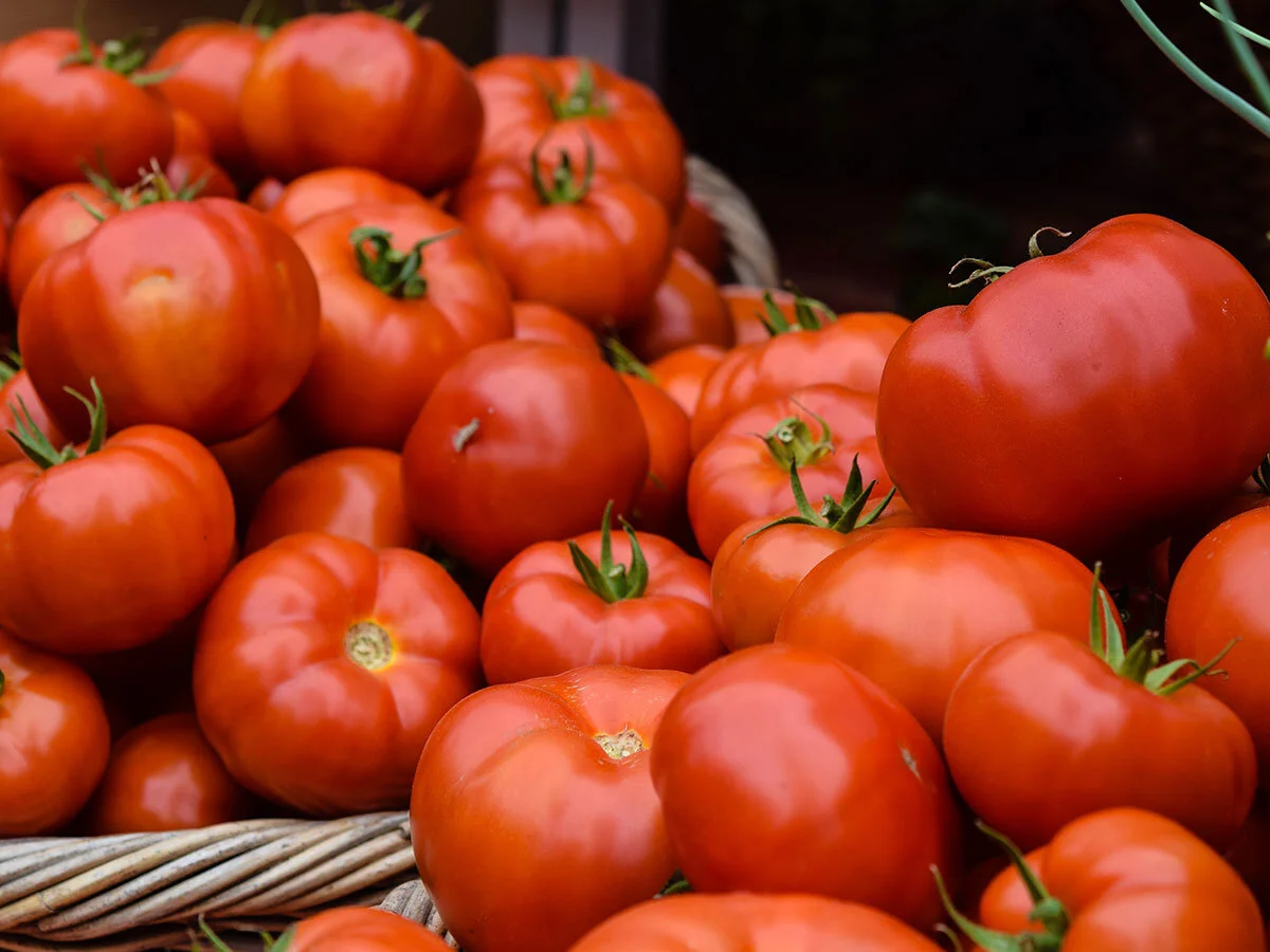 Technical Sales Agronomist - Fruit &amp; Vegetable - FILLED BY US!