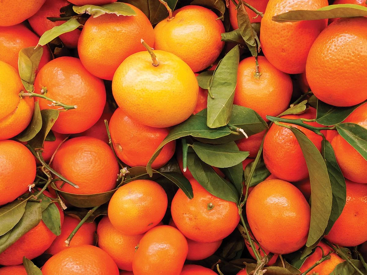 Technical Officer - R&amp;D Extension - Horticulture - SE QLD - FILLED BY US!