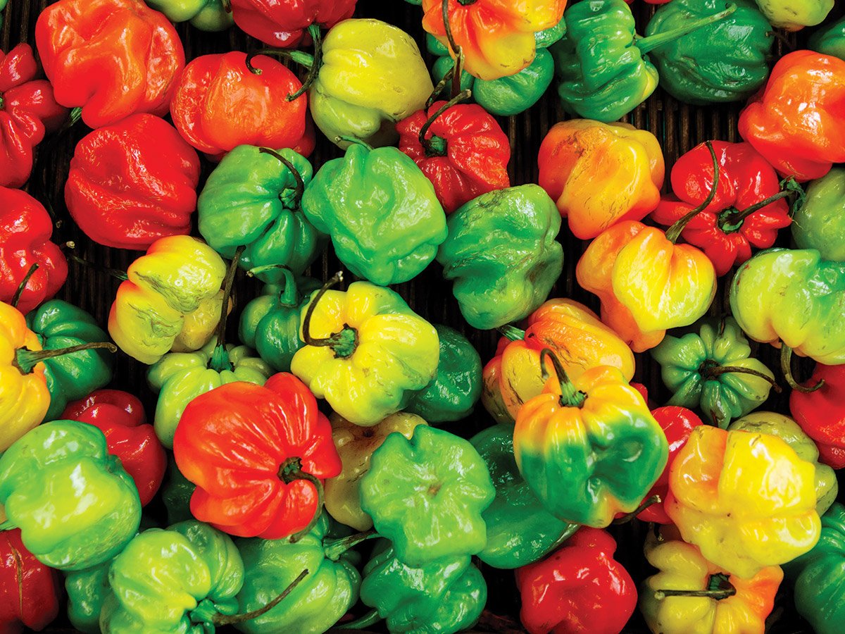 Territory Sales Manager - Crop Nutrition - FILLED BY US!