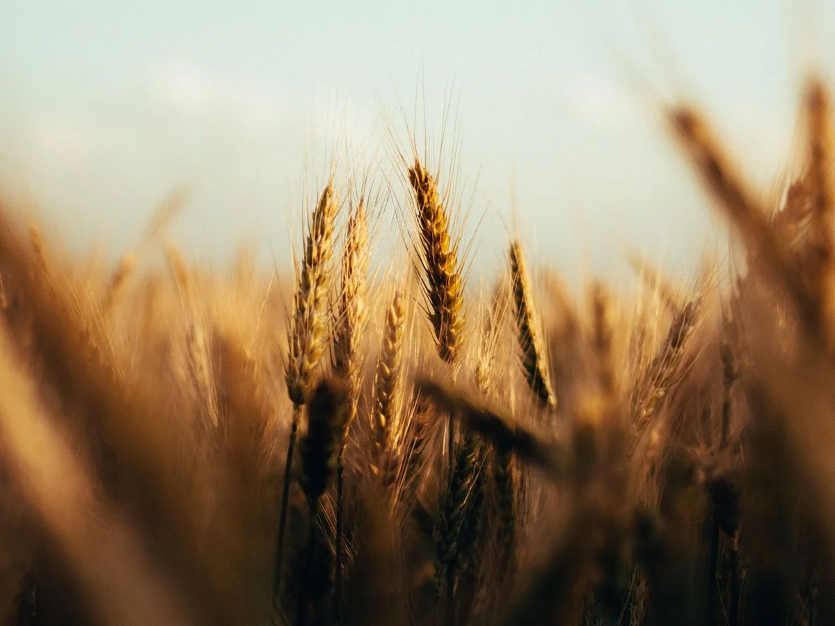 Territory Sales Manager - Agricultural Packaging - South East Queensland - FILLED BY US!