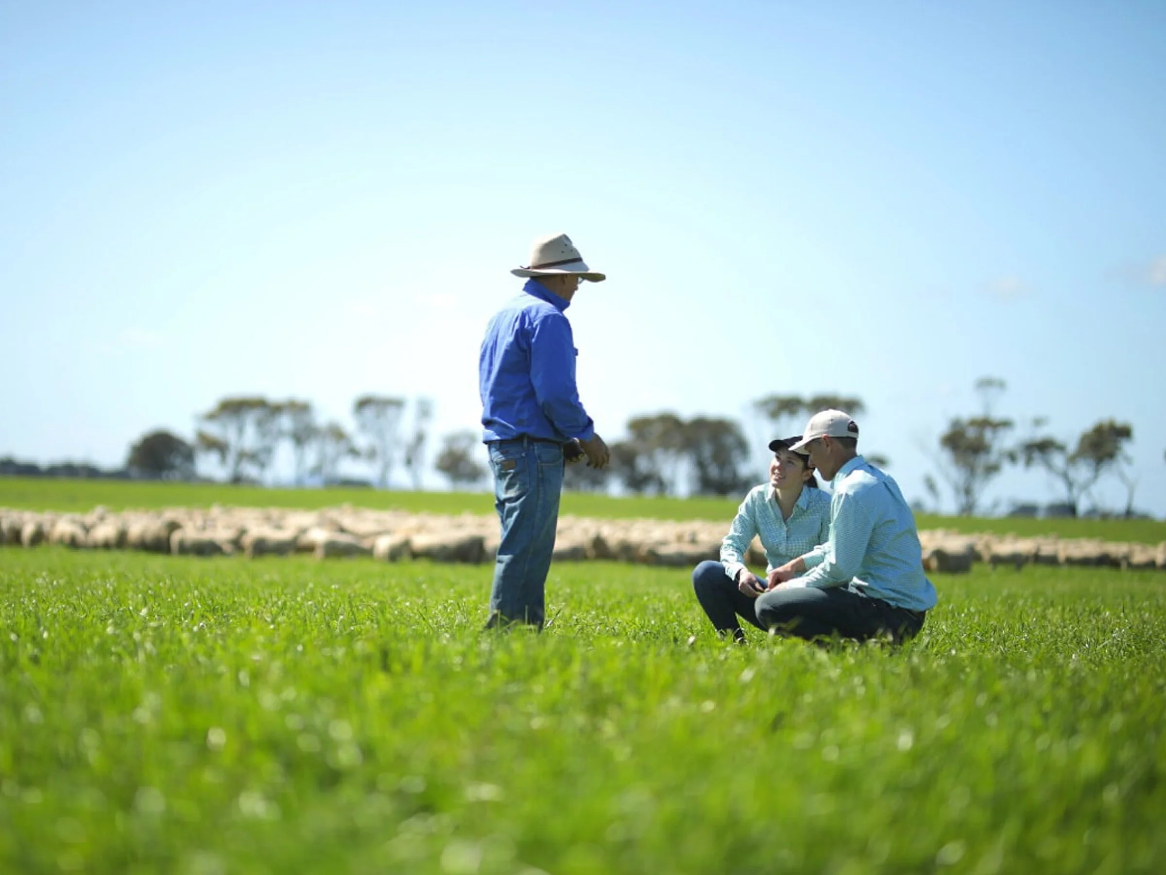 Territory Sales Manager – Seed – Southern QLD - FILLED BY US!