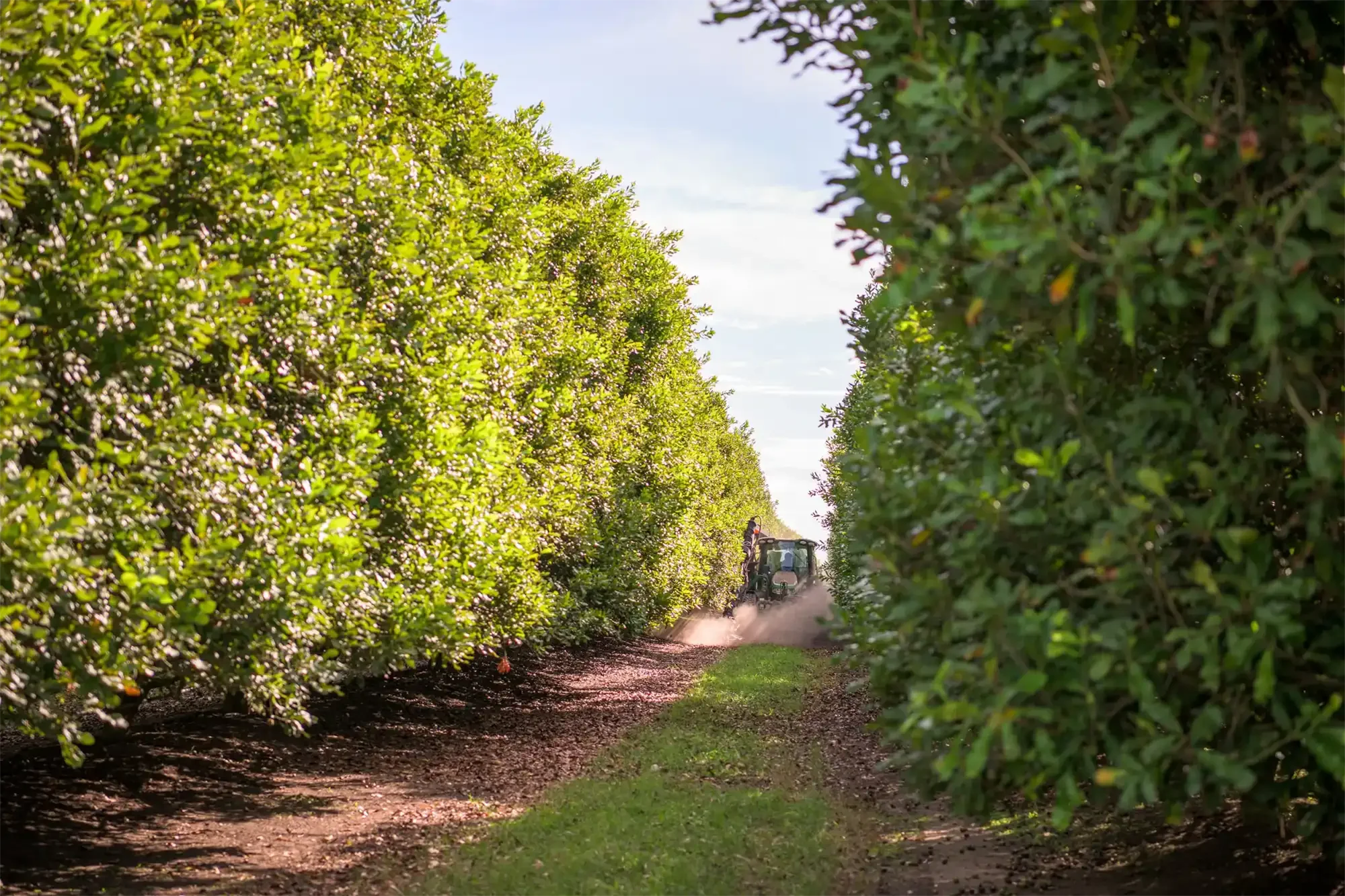 Procurement and Logistics Manager – Rural Retail - Bundaberg